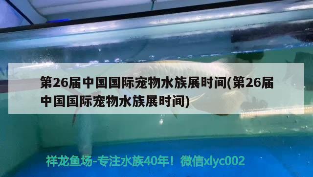 第26屆中國國際寵物水族展時間(第26屆中國國際寵物水族展時間) 水族展會