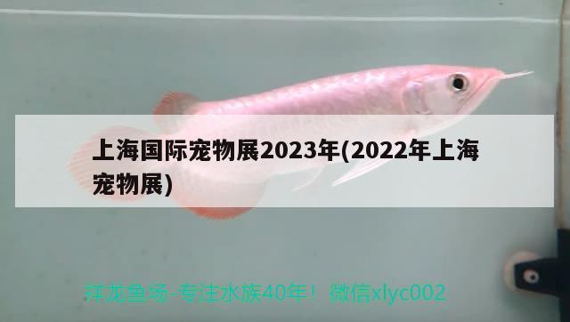 上海國(guó)際寵物展2023年(2022年上海寵物展) 2024第28屆中國(guó)國(guó)際寵物水族展覽會(huì)CIPS（長(zhǎng)城寵物展2024 CIPS）