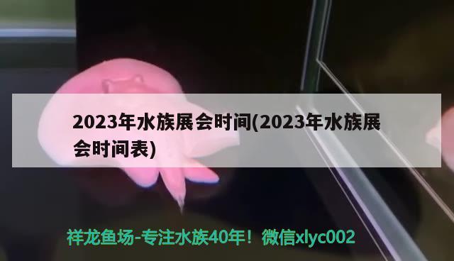 2023年水族展會時間(2023年水族展會時間表)