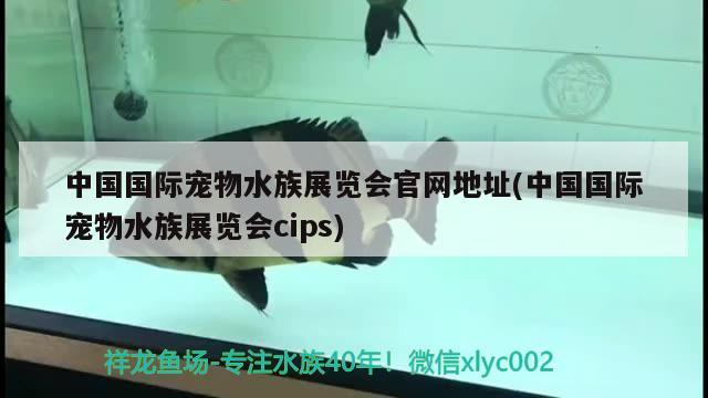 中國國際寵物水族展覽會官網(wǎng)地址(中國國際寵物水族展覽會cips)