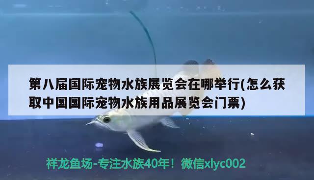 第八屆國際寵物水族展覽會在哪舉行(怎么獲取中國國際寵物水族用品展覽會門票) 水族展會