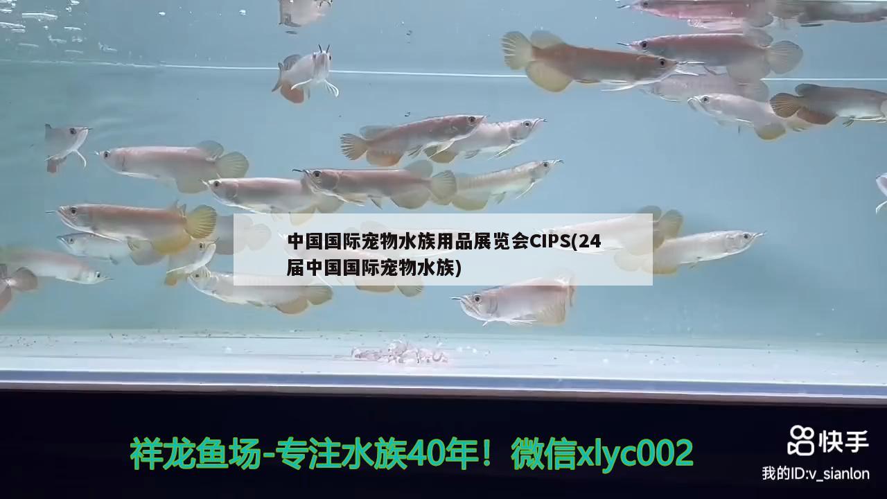 中國(guó)國(guó)際寵物水族用品展覽會(huì)CIPS(24屆中國(guó)國(guó)際寵物水族) 水族用品