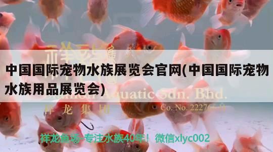 中國國際寵物水族展覽會官網(wǎng)(中國國際寵物水族用品展覽會)