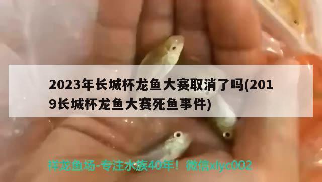 2023年長城杯龍魚大賽取消了嗎(2019長城杯龍魚大賽死魚事件)