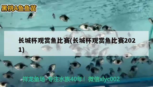 長城杯觀賞魚比賽(長城杯觀賞魚比賽2021) 2024第28屆中國國際寵物水族展覽會CIPS（長城寵物展2024 CIPS）