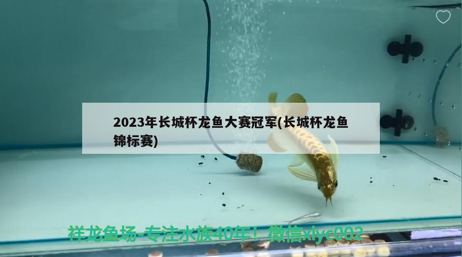 2023年長城杯龍魚大賽冠軍(長城杯龍魚錦標(biāo)賽)