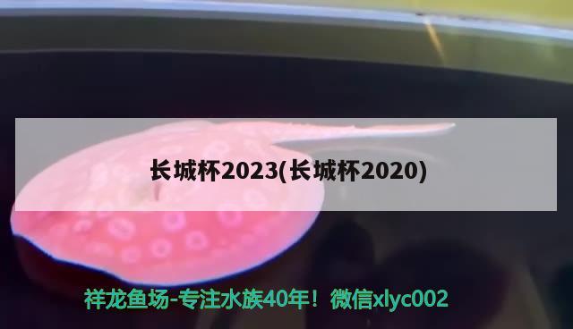 長(zhǎng)城杯2023(長(zhǎng)城杯2020)