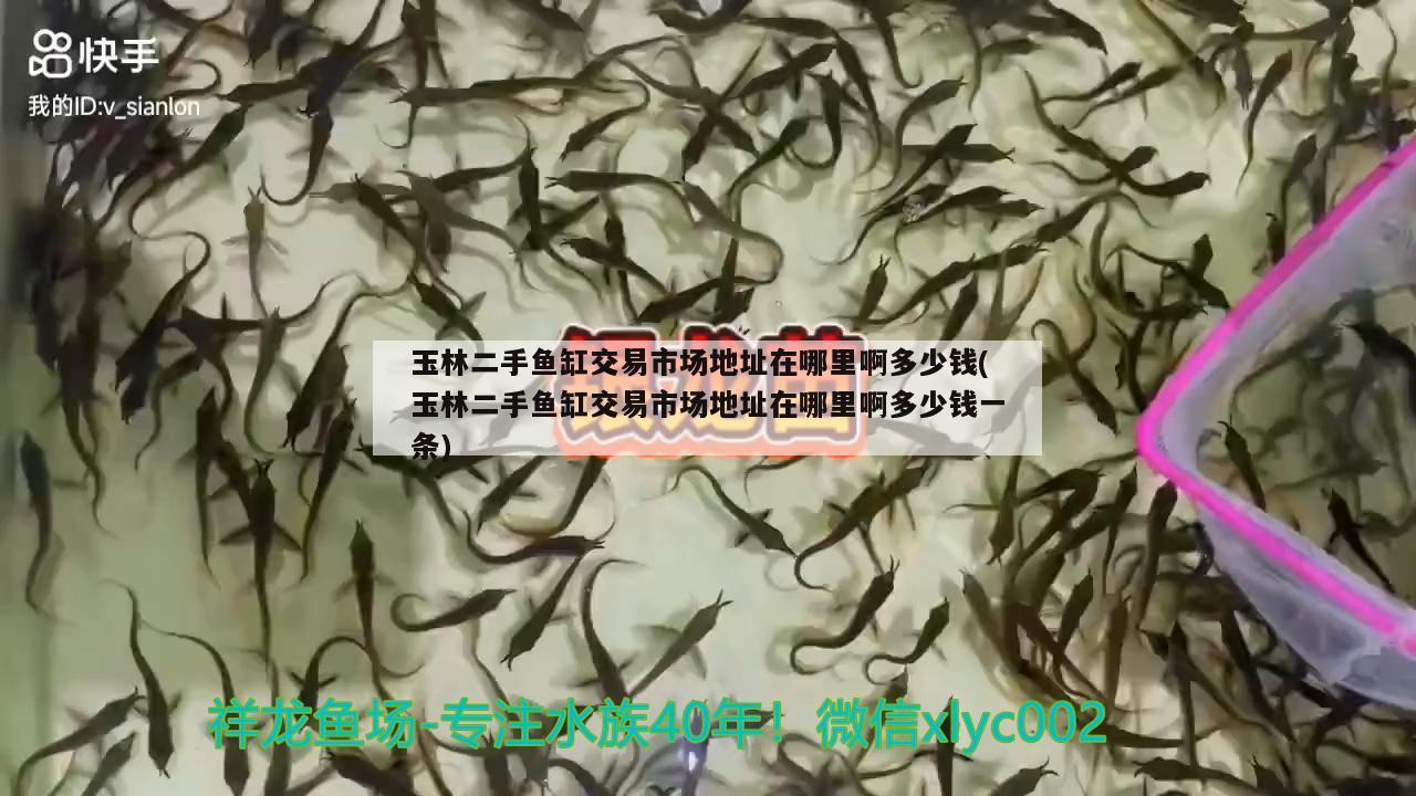 玉林二手魚(yú)缸交易市場(chǎng)地址在哪里啊多少錢(qián)(玉林二手魚(yú)缸交易市場(chǎng)地址在哪里啊多少錢(qián)一條) 養(yǎng)魚(yú)知識(shí)