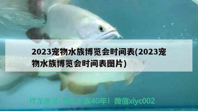 2023寵物水族博覽會時間表(2023寵物水族博覽會時間表圖片)