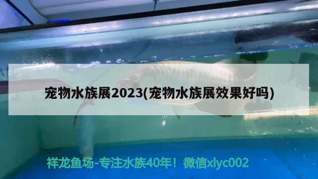 寵物水族展2023(寵物水族展效果好嗎) 水族展會(huì)