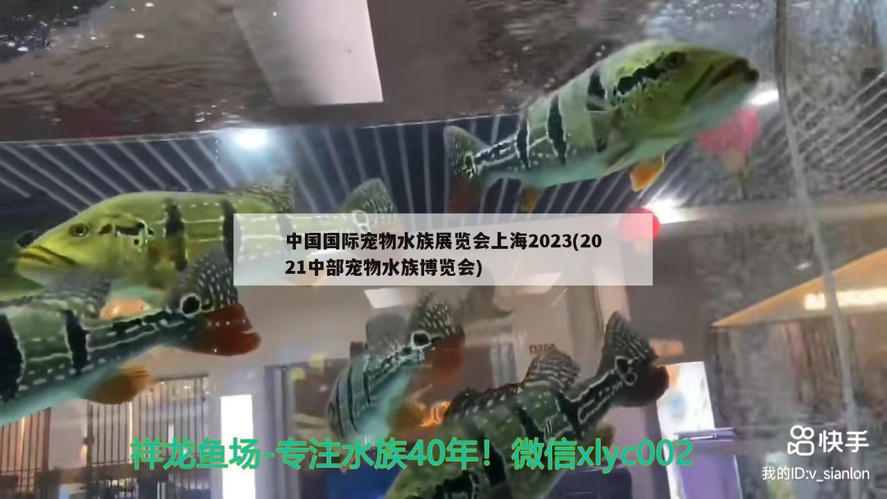 中國國際寵物水族展覽會上海2023(2021中部寵物水族博覽會) 水族展會