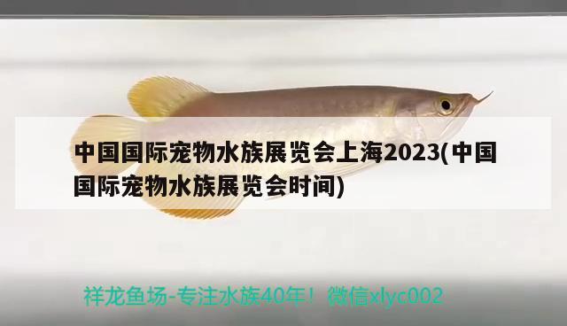 中國(guó)國(guó)際寵物水族展覽會(huì)上海2023(中國(guó)國(guó)際寵物水族展覽會(huì)時(shí)間)