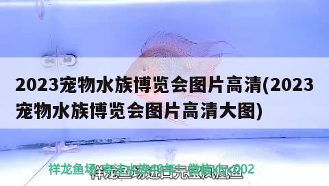 2023寵物水族博覽會(huì)圖片高清(2023寵物水族博覽會(huì)圖片高清大圖)