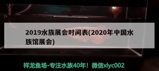 2019水族展會(huì)時(shí)間表(2020年中國(guó)水族館展會(huì))