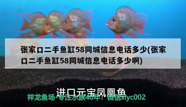 張家口二手魚缸58同城信息電話多少(張家口二手魚缸58同城信息電話多少啊)