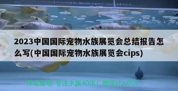 2023中國國際寵物水族展覽會總結(jié)報告怎么寫(中國國際寵物水族展覽會cips)