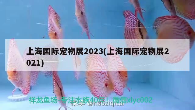 上海國際寵物展2023(上海國際寵物展2021) 2024第28屆中國國際寵物水族展覽會CIPS（長城寵物展2024 CIPS）