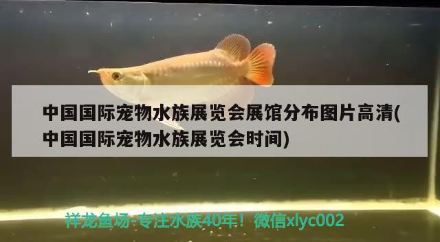 中國國際寵物水族展覽會展館分布圖片高清(中國國際寵物水族展覽會時間)