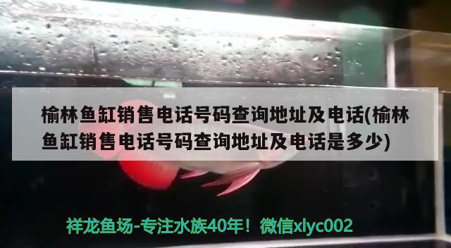 榆林魚缸銷售電話號碼查詢地址及電話(榆林魚缸銷售電話號碼查詢地址及電話是多少)