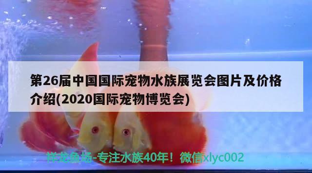 第26屆中國國際寵物水族展覽會(huì)圖片及價(jià)格介紹(2020國際寵物博覽會(huì)) 水族展會(huì)