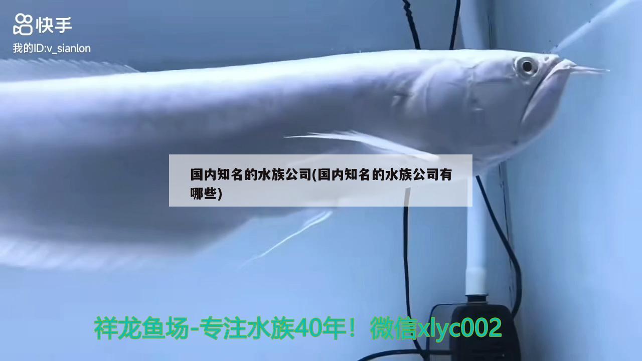 國(guó)內(nèi)知名的水族公司(國(guó)內(nèi)知名的水族公司有哪些) 2025第29屆中國(guó)國(guó)際寵物水族展覽會(huì)CIPS（長(zhǎng)城寵物展2025 CIPS）