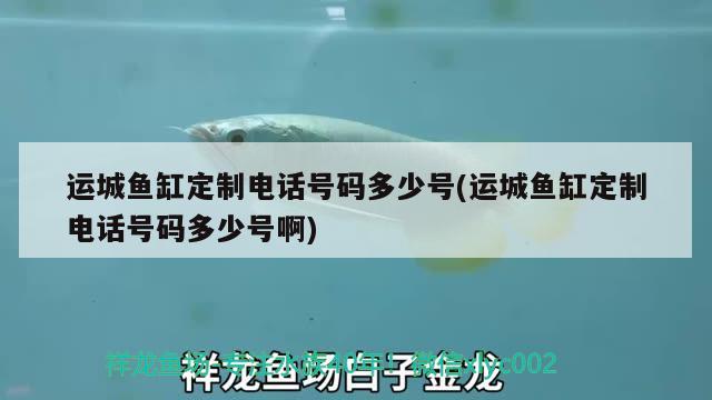 運城魚缸定制電話號碼多少號(運城魚缸定制電話號碼多少號啊)