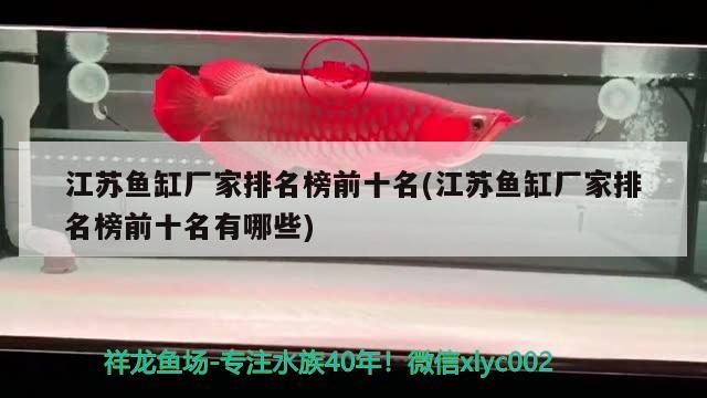 江蘇魚缸廠家排名榜前十名(江蘇魚缸廠家排名榜前十名有哪些) 野彩魚