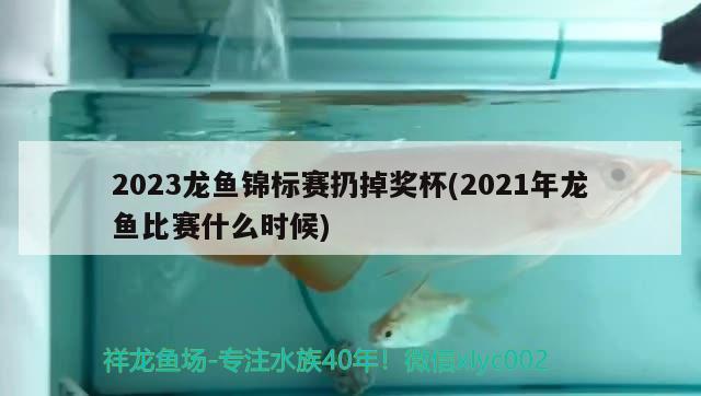 2023龍魚錦標(biāo)賽扔掉獎(jiǎng)杯(2021年龍魚比賽什么時(shí)候)