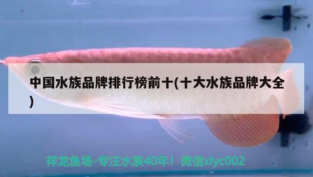 中國水族品牌排行榜前十(十大水族品牌大全) 水族品牌