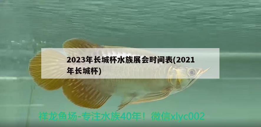 2023年長城杯水族展會時間表(2021年長城杯) 水族展會