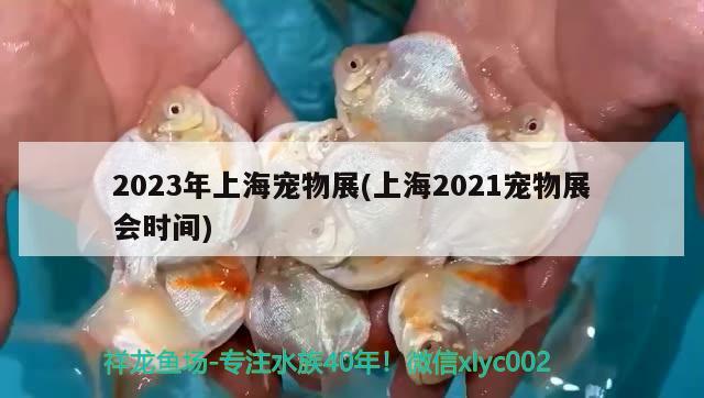 2023年上海寵物展(上海2021寵物展會時間) 2024第28屆中國國際寵物水族展覽會CIPS（長城寵物展2024 CIPS） 第2張