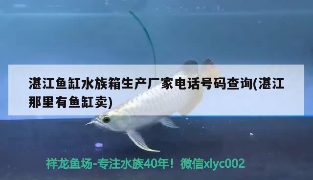 湛江魚缸水族箱生產(chǎn)廠家電話號碼查詢(湛江那里有魚缸賣)