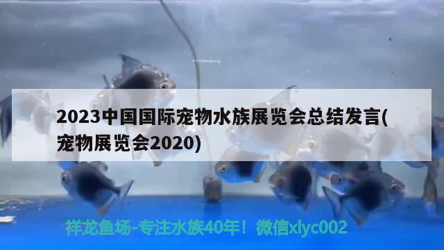 2023中國(guó)國(guó)際寵物水族展覽會(huì)總結(jié)發(fā)言(寵物展覽會(huì)2020) 水族展會(huì)