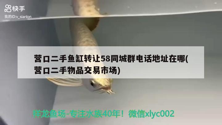 營口二手魚缸轉讓58同城群電話地址在哪(營口二手物品交易市場)