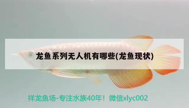 龍魚系列無人機(jī)有哪些(龍魚現(xiàn)狀)