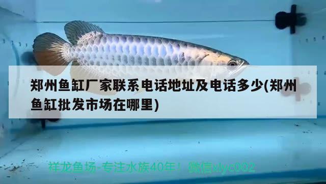 鄭州魚(yú)缸廠家聯(lián)系電話地址及電話多少(鄭州魚(yú)缸批發(fā)市場(chǎng)在哪里)