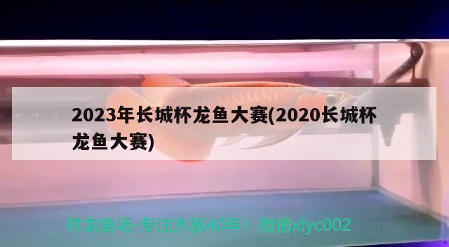 2023年長(zhǎng)城杯龍魚大賽(2020長(zhǎng)城杯龍魚大賽)