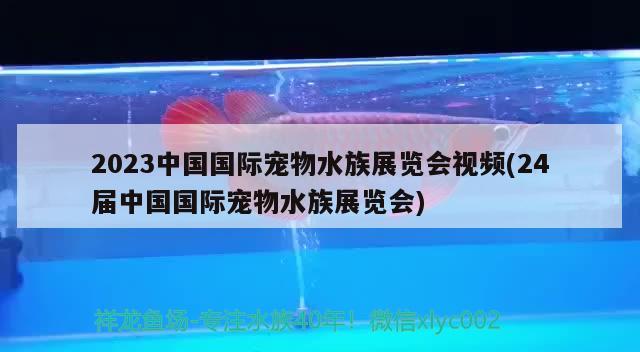 2023中國國際寵物水族展覽會(huì)視頻(24屆中國國際寵物水族展覽會(huì)) 水族展會(huì)