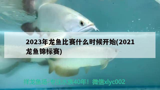 2023年龍魚比賽什么時(shí)候開始(2021龍魚錦標(biāo)賽) 2024第28屆中國國際寵物水族展覽會(huì)CIPS（長城寵物展2024 CIPS）