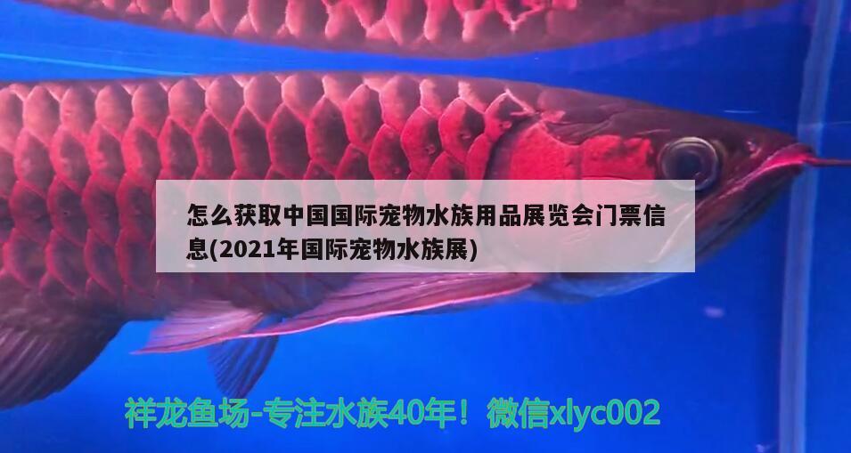 怎么獲取中國國際寵物水族用品展覽會門票信息(2021年國際寵物水族展)