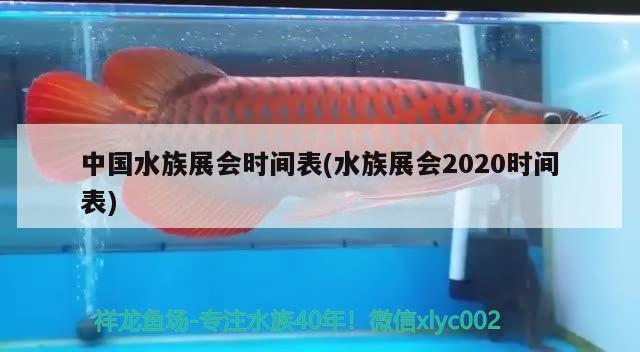 中國(guó)水族展會(huì)時(shí)間表(水族展會(huì)2020時(shí)間表) 水族展會(huì)