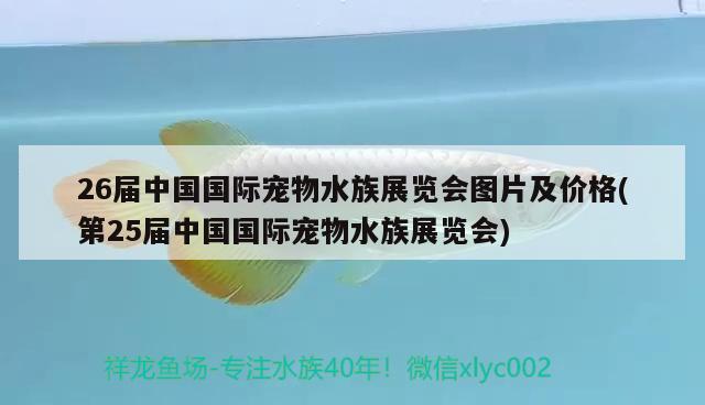 26屆中國國際寵物水族展覽會圖片及價格(第25屆中國國際寵物水族展覽會) 水族展會