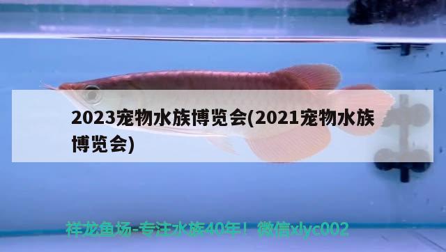 2023寵物水族博覽會(2021寵物水族博覽會)