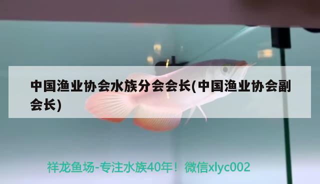 中國漁業(yè)協(xié)會(huì)水族分會(huì)會(huì)長(中國漁業(yè)協(xié)會(huì)副會(huì)長) 2025第29屆中國國際寵物水族展覽會(huì)CIPS（長城寵物展2025 CIPS）