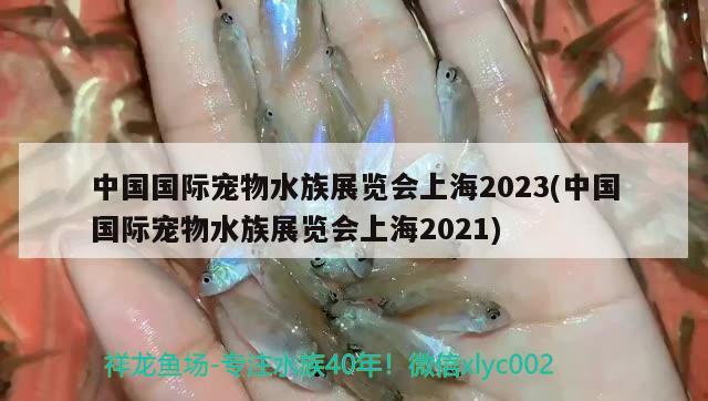 中國國際寵物水族展覽會上海2023(中國國際寵物水族展覽會上海2021) 水族展會