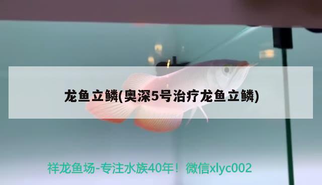 龍魚立鱗(奧深5號治療龍魚立鱗) 2025第29屆中國國際寵物水族展覽會CIPS（長城寵物展2025 CIPS）