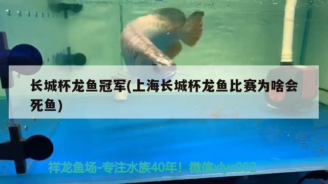 長城杯龍魚冠軍(上海長城杯龍魚比賽為啥會死魚) 2025第29屆中國國際寵物水族展覽會CIPS（長城寵物展2025 CIPS）