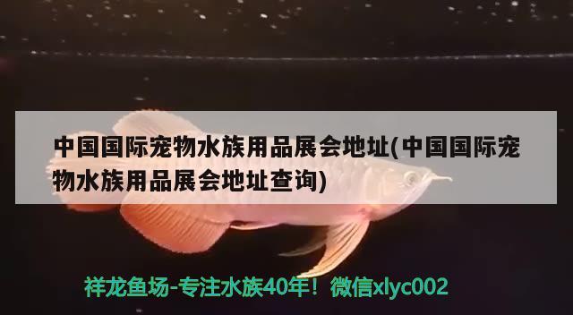 中國(guó)國(guó)際寵物水族用品展會(huì)地址(中國(guó)國(guó)際寵物水族用品展會(huì)地址查詢(xún))