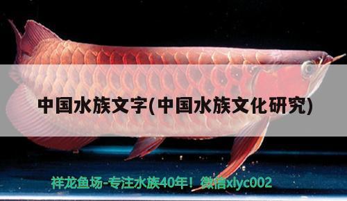 中國水族文字(中國水族文化研究)