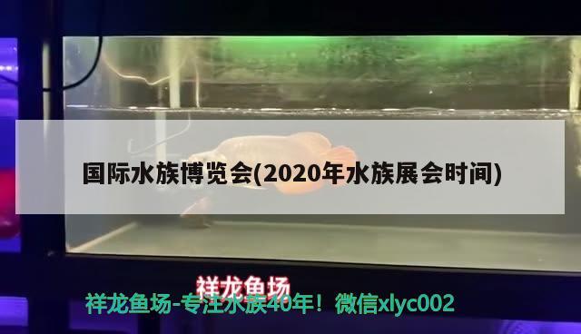 國際水族博覽會(2020年水族展會時間)